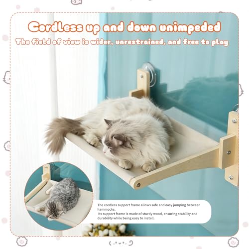 Hamaca plegable con ventana para gatos y cama colgante reversible resistente 4