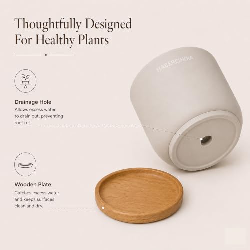 Image of Habere India-All the Cultures Fabricating India Plant Pot with Wooden Plate | Flower Pots for Dining Table & Home Decor | Terracotta Pot for Living Room Decoration (Multi, Dia11 x H9.5 cm)