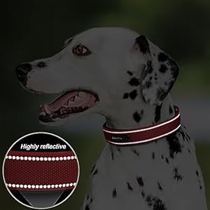 Petifine Dog Collar with Metal Buckle Heavy Duty Dog Collar with Soft Neoprene Padded Adjustable Reflective Nylon Dog Collars for Small Medium Large Dogss Red Cucciolini Doodles Petifine dog collar with metal buckle heavy duty dog collar with soft neoprene padded adjustable reflective nylon dog collars for small medium large dogss red cucciolini doodles