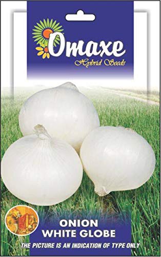 Omaxe Seeds Onion Imported White Globe Vegetable seeds Kitchen Garden Packet (B07MJLCWVR) Amazon Price History, Amazon Price Tracker