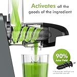 Cold Press Masticating Juicer Machine - 2-Speed & Reverse Function for Vegetables, Fruits, Celery | Quiet Motor, BPA-Free, Easy to Clean with Brush | Slow Juicer for Nutrient-Rich Juices - Image 2