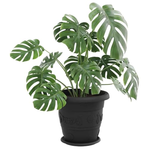 Soucoupe robuste pour pots de fleurs plastique noir résistant Ø 27