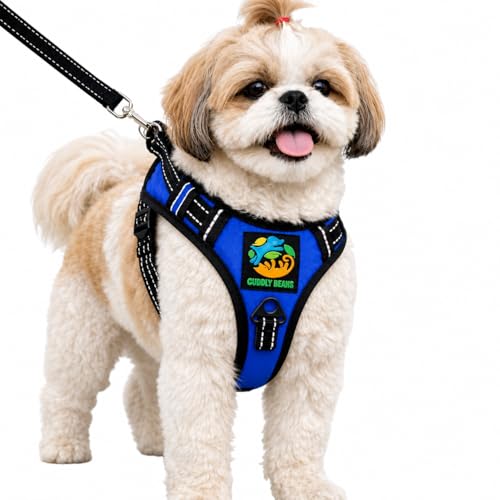 Image of Adjustable Padded Dog Harness with Leash | Comfortable Pet Walking Harness for Dogs | Blue | XS | Suitable for Dogs 5-10 kg