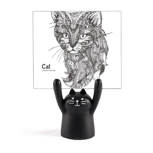 qg̃yL̐ÂȐԂL J[gD[LX^h^z_[