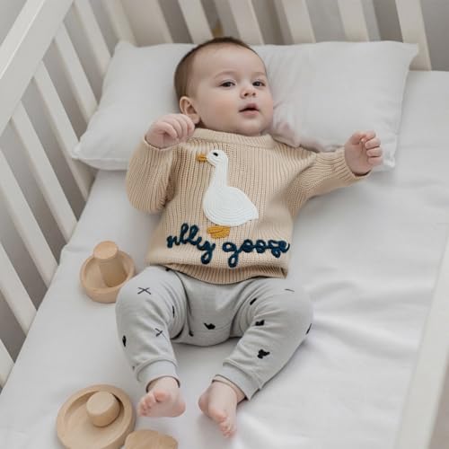 Toddler Baby Boy Girl Knit Sweater Silly Goose Embroidery Long Sleeve Knitted Sweatshirt Warm Fall Winter Clothes2
