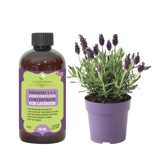 Premium Liquid Lavender Plant Fertilizer - 3-1-2 Concentrate for Indoor Plants and Flowers by GardenNova | Organic Plant Food for Lavenders - 8oz