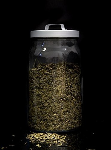 Té moruno a granel - 100
