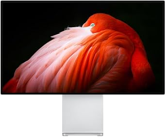 Apple Pro Display XDR - Standart cam 