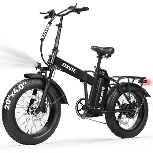 ESKUTE D300 Electric Bike for Adults, 48V 20.8Ah Removable Battery,