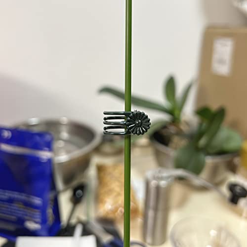 Eesc2Y 40-Pcs Orchid Clips For Plants Support - Dark Green, For Small - Middle Climbing Plants Vine Plants & Single Stem Plants #TOP6