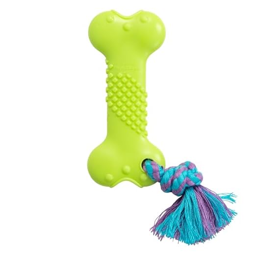 Pupstages Bone Mini Dog Chew Toy & Treat Stuffer for Teething Puppies & Small Dogs up to 20 lbs, Bounces & Floats, Textured for Dental Support, Moderate Chewers, 5.5"