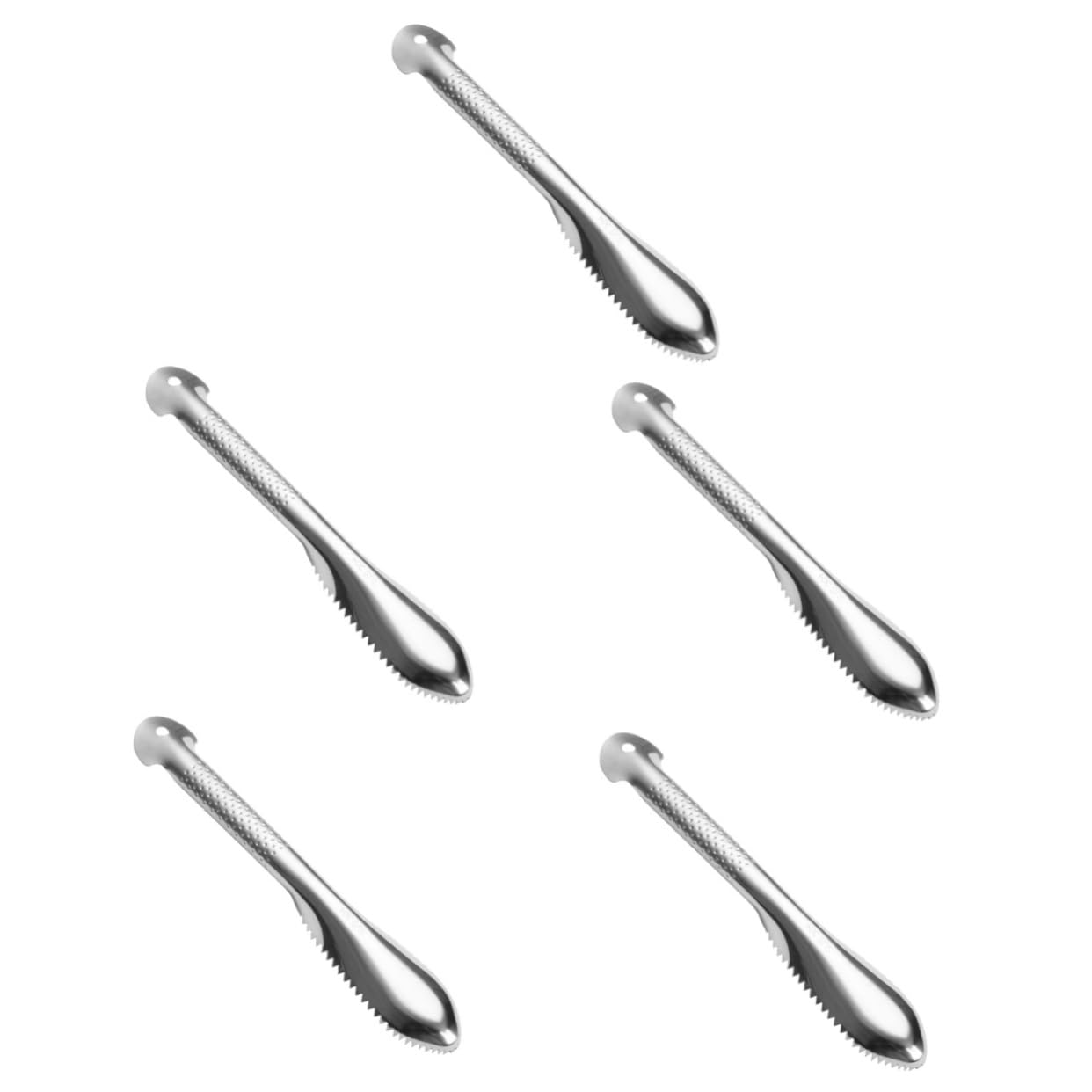 PRETYZOOM 5 Pz Attrezzo Disincrostanti Inossidabili Squamapesci in Acciaio Inox Squama Pesce Riutilizzabile Strumento Disincrostante Squama di Pesce Inossidabile Acciaio Inossidabile