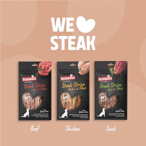 Rosewood Steak Strips Ente & Seelachs – Weiche Leckerlis für Hunde, hoher Fleisch-/Fischanteil, fettarm, ohne Getreide, ohne künstliche Zusatzstoffe, 100 g