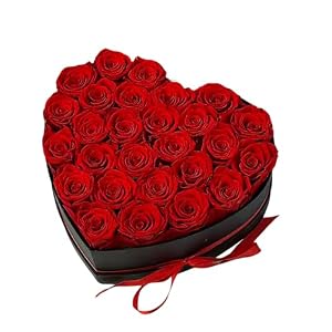 Preserved Roses Heart Shape Box Valentines Day Gifts for Her Mothers Day Forever Flowers (Red, 27 Roses)
