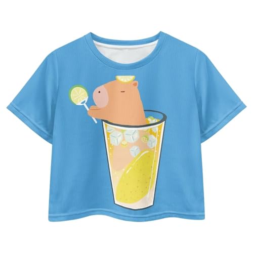Image of Girls Crop Tees Crew Neck Casual Short Sleeve T Shirts Kids Loose Soft Comfortable Tees Blouses Shirt for Little Girl