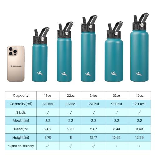 Image of Konokyo 32 oz Insulated Stainless Steel Water Bottle with Straw Lid