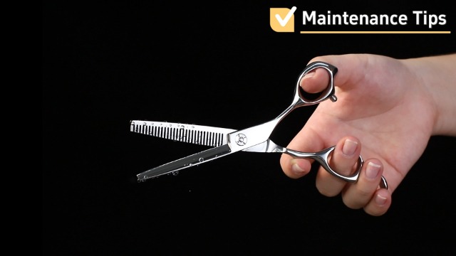 Amazon.com : JASON Hair Thinning Scissors Shears- 6