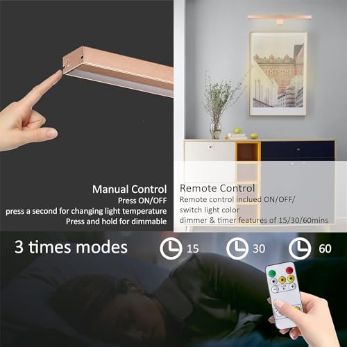 Image of MIOBLUE Rechargeable Picture Lights with Remote, 16 inch Battery Operated Painting Light Display Lamp with 3 Lighting Modes, Dimmable Dartboard Light with Timer for Frame Portrait Art, Metal Body