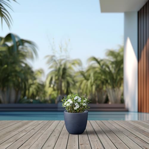 Image of Kante Small Round Bowl Charcoal Concrete Planter 10 inch Dia, Outdoor