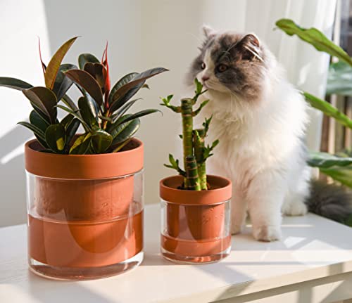 Phoenix Vine 4 Inch 6 Inch Self Watering Planter Pots, Terracotta Clay Pots With Glass Reservoir For Indoor Plants, Herbs, Flowers, 52-A-G #TOP1