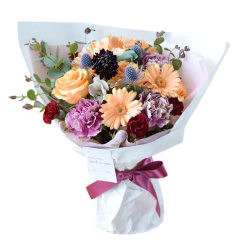 ԗR ̂܂܏ ԑ  (̂܂܃u[P NX/jAX) AWg v[g j LO a t[Mtg