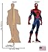 Cardboard People Spider-Man Life Size Cardboard Cutout Standup - Marvel: Contest of Champions