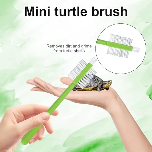 Image of 2pcs Turtle Shell Cleaning Brush, Turtle Scrub Brush with Suction Cup Tortoise Scratcher Supplies Exfoliate Scratcher for Tortoise Aquarium Tank Accessories (Green)