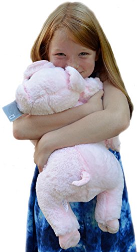 Mother & Baby Stuffed Pig Plush Toy Set | Super Soft Pig Stuffed Animal | Cute Plushies For Kids’ Bedroom | 17" Stuffed Animals For Girls & Boys | Farm Animal Toys For Toddlers 1-3 By Exceptional Home #TOP2