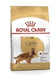 ROYAL CANIN COCKER ADULT sac de 3 kg/Croquettes pour chien COCKER adulte