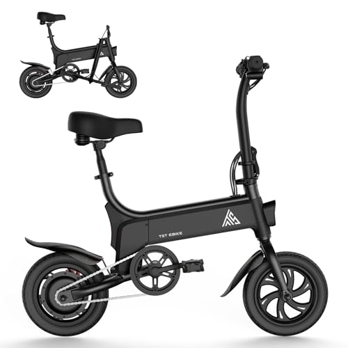 TST Folding Electric Bicycle