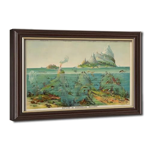 Impression sur toile nature Levi Walter Yaggy 1893 poster vintage pour bureau