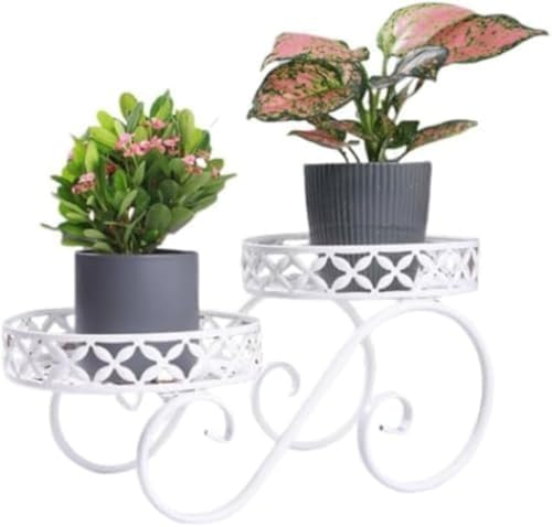 Ornatego ACAt[X^h 2iKi^bvłȐAؔbNAEx_EK[fɍœKACeAɍʂYnfB݌vőAԂfBXvC (zCg)