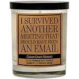 I Survived Another Meeting That Should Have Been An Email - Funny Candles Gift for Women, Men, Funny...