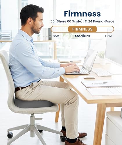 Image of Everlasting Comfort Doctor Recommended Memory Foam Seat Cushion for Office Chairs & Car - Ergonomic Office Desk Accessories - Cushions for Tailbone Pain Relief, Sciatica (Gray, Large)