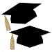 Big Dot of Happiness Gold Tassel Worth The Hassle - Graduation Hat Decorations DIY Party Essentials - 20 Count