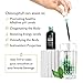 Chlorophyll Water Drops- Chlorophyll Liquid Drops | Concentrate 12,000mg Non-GMO Chlorophyll Drops for Water | Electrolytes,Sea Minerals,Essential Vitamins| Antioxidants| Detox| Energy| Immune Support