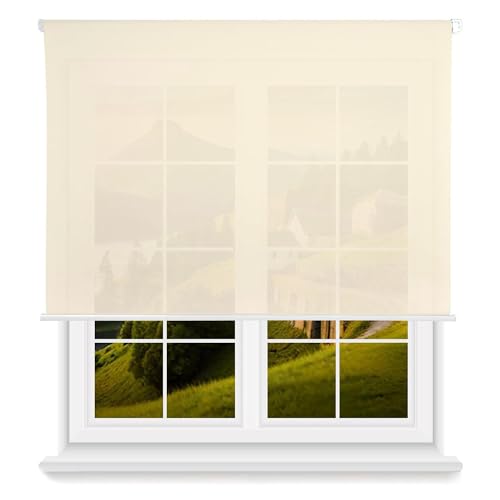 Estor Enrollable Translúcido Liso - Beige, 120 x 175cm (Ancho x Largo)/Tamaño de la Tela 117 x 170cm