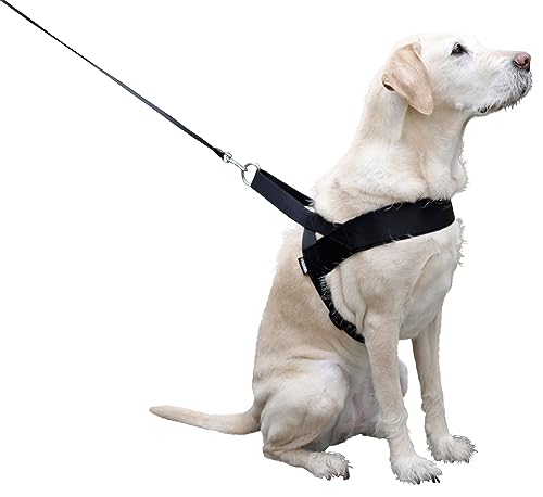 Kerbl Pet Miami Plus Geschirr 60-75cm Halsriemen: 40cm/40mm, schwarz