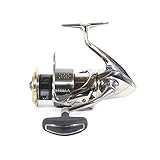 Angelrolle Shimano Stern 4000 FJ New 2018