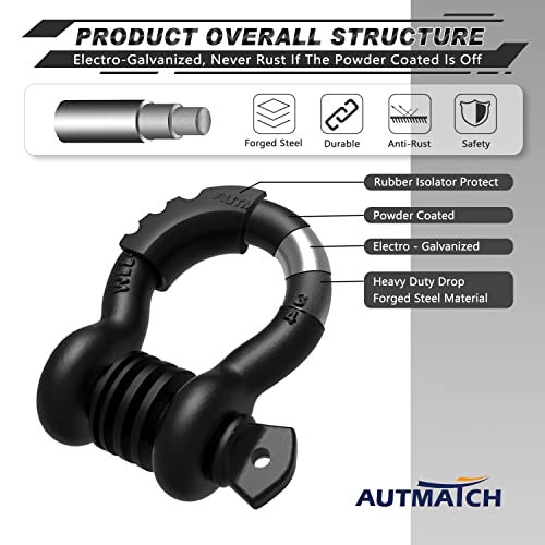 image for AUTMATCH D Ring Shackle 3/4