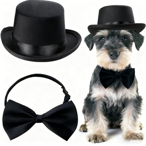 Accesorios formales para mascotas Qiansail, set 2 piezas negro