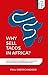 Produktbild Why Sell Tacos in Africa: 16 life-changing business strategies you can use anywhere, from the man who turned $400 into $200 million