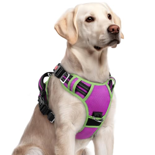 rabbitgoo Dog Harness for Large, No Pull 3 Buckles Easy On & Off