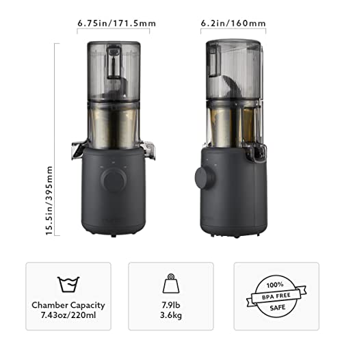 Vertical Masticating Juicer Machine