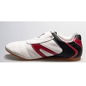 Taekwondo Schoenen, Kung Fu Tai Chi Schoenen Vechtkunst Sneaker Boksen Karate Sneakers Lichte Schoenen Voor Volwassenen…