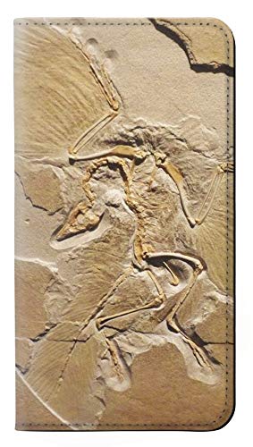 Dinosaur Fossil PU Leather Flip Case Cover For Samsung Galaxy J3 (2018), J3 Star, J3 V 3rd Gen, J3 Orbit, J3 Achieve, Express Prime 3, Amp Prime 3