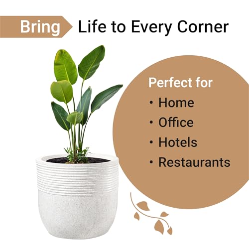 Image of Kuber Industries 2 Pcs Roto Mould German Polymer 20-Inch Extra Large Big Size Flower Pot | Indoor /Outdoor Tree Gamla Planter for Resorts, Hotels, Terrace & Garden | Marble Sunshine - White