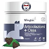 Vivylo