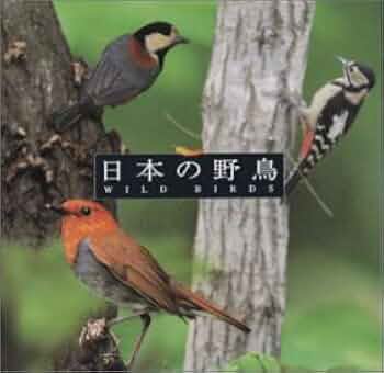 NHK録音集より 季節の小鳥 NHK録音集より季節の小鳥