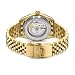 Imagen de Swiss Military Hanowa DILIGENTER SMWGL0002110 Reloj Automático para hombres